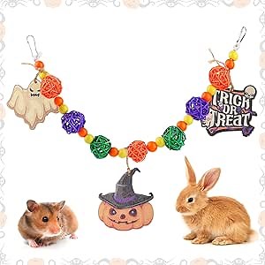 Abizoo Guinea Pig, Chinchilla & Rabbit Toys - Halloween Teeth Care & Dental Health for Chinchillas, Hamsters, Rats & Small Animals - Indoor & Outdoor
