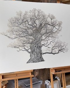 1.1K views | CJP on Reels | Facebook