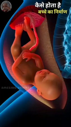 Amezing Science on Instagram: "baby formation? #science #sciencefacts #facts #reels"