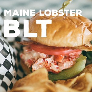 69K views · 1.9K reactions | Looking to up your sandwich game? Try the Maine Lobster BLT recipe from Island Lobster Company ! It’s fresh, delicious, and will have you wondering why you hadn’t added Maine Lobster to your sandwich earlier https://hubs.ly/Q01Z0dJm0 | Lobster from Maine | Facebook