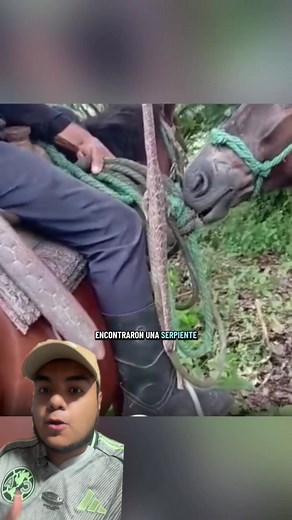 Serpiente con patas: ¿es real? explicación y casos encontrados