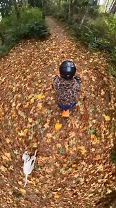 3.4K views · 59 reactions | I recently moved to a property with TRAILS! What kind of dirt bike should I get? Ooor should I stick with the Coleman minibike?  | Moto Lady | Facebook