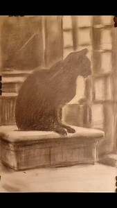 Cat 09/01/2024 Graphite on Paper 21x29.7cm | 8.27x11.69" | 120g/m2 Acid Free & Archival 09 January 2024 #cat #catart #catdrawing #catlife #feline #kitten #pets #pussycat #catlover #art #artist #fineart #pussy #animal #animaldrawing #drawing #sketching #draughtsman #animeshroy #animeshroyartist #animeshroydrawing #sketchbook #artistsketchbook #pencildrawing #graphitedrawing #chiaroscuroart #blackandwhitedrawing #drawingsforsale #draweveryday #fineartist | Animesh Roy | Facebook