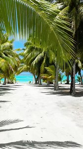 25 reactions | SURPRISE CALL: Have you heard of Palmerston Island? Nestled in the South Pacific, on the route from Bora Bora to Fiji, lies this enchanted island under 60 square kilometers. Only one of the twelve islands is inhabited. Recently, the 28 residents celebrated the visit of the EUROPA. #MSEUROPA #hapaglloydcruises #hlcruises #fiji #borabora #southpacific | Hapag-Lloyd Cruises | Facebook