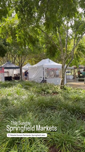 Springfield Markets on Reels