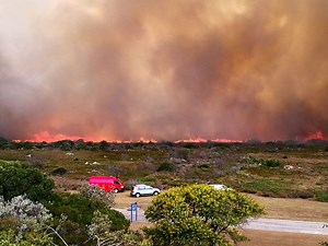 Conservation initiative relocates birds as fire approaches, offers safe-haven