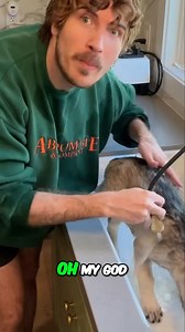 50K views · 576 reactions | Giving My Pup A Bath 識 | Joey Graceffa | Facebook