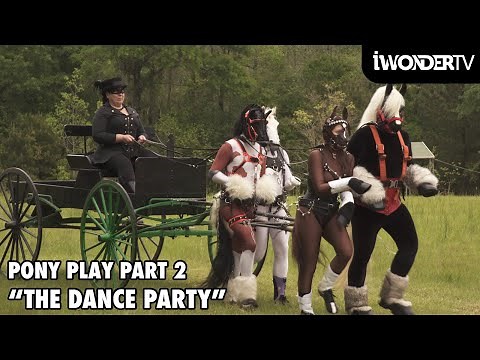 Pony Play Festival Part 2 The Pony Dance Party