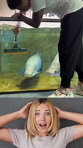 Even giants need a tidy home! Watch the cleanup behind the scenes of my arapaima tank. #TankCleaning #ArapaimaLife #CleanAndClear #MonsterFishCare | Monster Fish Diaries