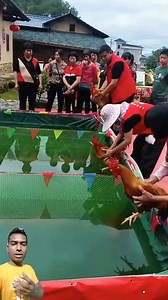Rooster swimming competition🤓 মোরগের সাঁতার প্রতিযোগিতা 🤓 #rooster #swimming #competition #Amazing #farming #village #life #beautiful #highlightseveryone #women #girls #baby | Sheikh Jalal