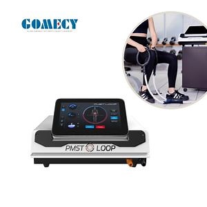 [Hot Item] Pemf Loop Horse Magnetic Therapy Deep Oscillation Pulsed Extracorporeal Magneto Therapy Machine Pemf Therapy Mat