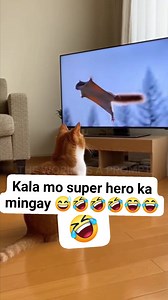 63K views · 1.8K reactions | Kala mo super hero ka mingay 藍藍藍 #ofwhongkongvlog | Wenelyn De Jesus | Facebook