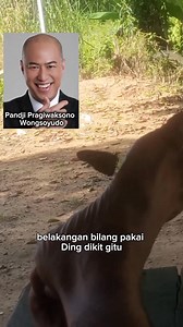 Masih ke Lulusan UGM Universitas Gasar Mpramuka | Ismuhu Asshaff Ahmad