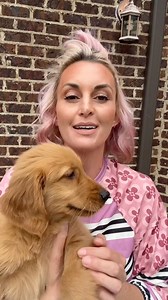 8.1K views · 90 reactions | Simple Easy Makeup 勺 you can’t beat that! Plus some cute pups  if I could see what I was doing I would have used a little less bronzer/blush, but hey I’m rolling with it  Shop Here: https://Whowhatkare.celesty.com What I used: Nude Look Tinted Moisturizer shade Medium Terracotta Blush shade 04 Falsie Mascara Matte Lip Kit Warm Nude Cute Top: https://urlgeni.us/amzn/or5u0 Affiliate links | Who What Kare | Facebook