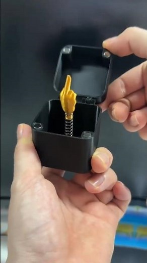 Get Ready to Laugh: Middle Finger in a Box Prank Gift! 🎁😜 Pawsomestyle