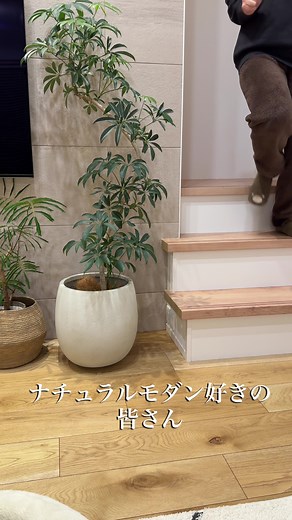 家づくりに最適な床材選びのポイント