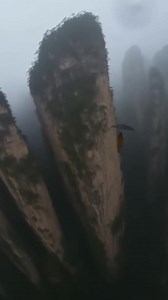 This Monkey Stole An Umbrella And BECAME Mary Poppins ☂️ (AI) | Crafty Panda