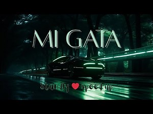 Standly - Mi Gata (speed up) (TikTok Remix) Lyrics \\ Toma Tusi