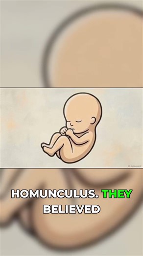 Tiny Humans in Sperm? The Wild Homunculus Theory!