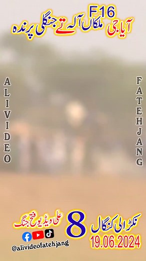 Num...8 g 💥💥💥 | Ali Video Fateh Jang