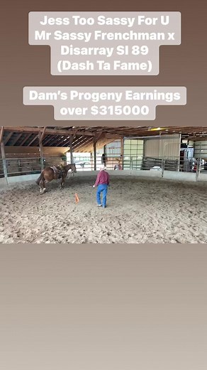 5.8K views · 153 reactions | Frenchmans Guy on Reels | Facebook