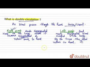 What is double circulation?