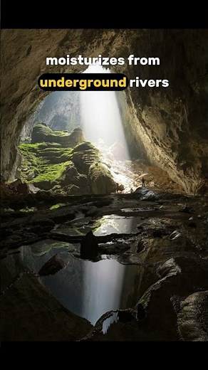 Son Doong Cave: Exploring the Largest Cave on Earth Hidden in Vietnam!