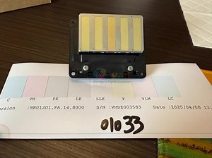 [Hot Item] Used for Epson 9890 9908 7890 7908 Printer Second Hand Dx6 Waterbased Printhead for Epson Printe F191151 Printhead Refurbished 7908.9908.7910.9910 Print Head