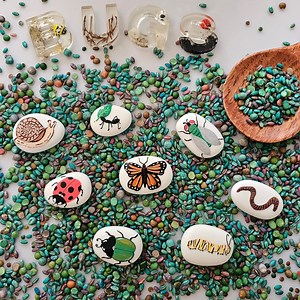 Minibeasts - Story Stones - Educational Stones - Eyfs Resources - Early Years Topics, Painted Pebbles. - Etsy UK
