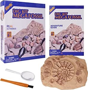 MWK Mega Fossil Dig Kit – Excavate 15 Real Fossils Including Dinosaur Bones & Clam, Educational Toys, Great Gift for Girls and Boys, Exclusive Science Kit Festival Gifts for Boys and Girls Ages 8+