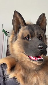 Movable Jaw German Shepherd Realistic Fursuit Head Dog Cosplay Mask Halloween Costumes - Etsy Australia