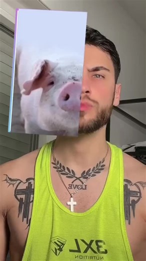 Elena Micheli su TikTok