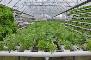 [Hot Item] Complete Hydroponics System Vertical Hydroponics Growing Farming Hydroponics Nft Growing