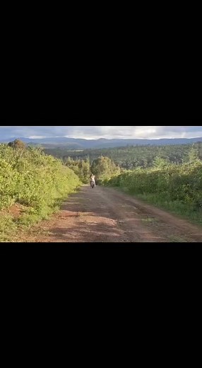 I'd climb every mountain Swim every ocean, just to be with you.💕💕 The search of Mr. Right continues on #HelloMrRightKeS3 Every Saturday at 8pm on @strembotvch 484 on DTH and 113 on DTT, on StarTimes Also, Incase you are having any issues with #StartimesKenya call the customer care number, 0719077077 to sort you out ASAP. Download the #StartimesON app today. | Mwikali Mary