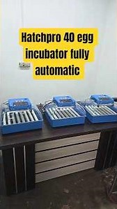 Hatchpro 40 egg incubator fully automatic egg hatching machine 2026 #viral