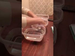 Temperature receptor adaptation