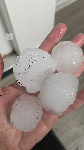 15K views · 104 reactions | Durante una ola de calor en Farmington, NY, cayó granizo algunos del tamaño de una pelota de béisbomientras mientras se emitía vigilancia por tormenta eléctrica. | Univision Nueva York | Facebook