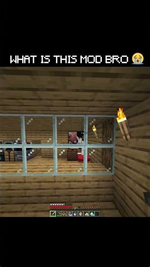 I Found a Mirror Mod in Minecraft! 💀