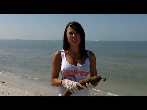 Hooters What does Project Pantyhose mean to You