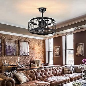 Ceiling Fan with Lights, Farmhouse Cage Ceiling Fans with Remote Control, Flush Mount 3 Speeds Indoor Ceiling Light with Fans Reversible Motor for Bedroom Living Room, Black