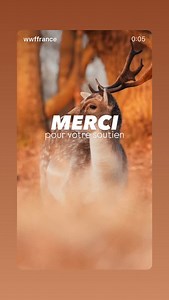 WWF-France on Reels | Facebook