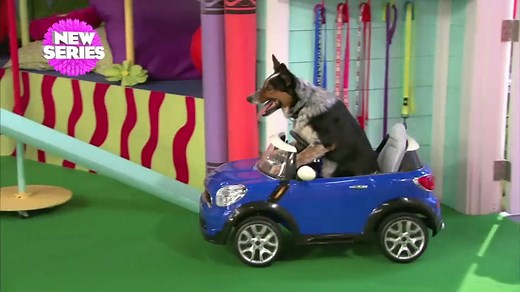 Mutt and Stuff Trailer