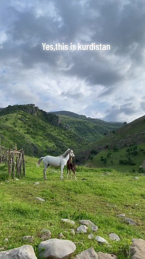 Ku.in.ur.i على TikTok