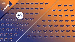 Prepare for Autumn calving with Research Proven Crystalyx Pre-Calver ✅ Reduces the instances of mastitis ✅ Enhances colostrum quality ✅ Supports a strong healthy immune system ✅ Reduces the risk of milk fever ✅ Low required intakes lasting longer than some other blocks | Crystalyx UK