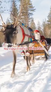 82K views · 2.7K reactions | #télapó #mikulas #karacsony | Karácsony | Facebook