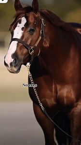 2.4K views · 4.4K reactions | No somos para todos unos nos podrán ver otros no #mindfulness #sadness #emty #fyp #truth #present #today #belleza #beauty #loyalty #cute #17 #lifestyle #beauty #hashtag #blessed #blessings #faith #famous#teen#boy#girl#lol #beauty #belleza #world #pretty #selfie #happines | Juan Manuel Hernandez | Facebook