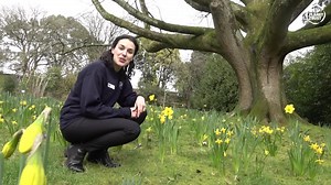 Here is our first Mini Discovery from the zoo feature for young children to take part in, as we celebrate the arrival of Spring at the zoo! 🌼🌷 Join Jo from our Education team to find out more about how flowers work and follow along a simple dissection activity. These videos are aimed at children aged 3 to 7 years, but anyone is welcome to watch and join in. This Mini Discovery video is also available on our website and Youtube channel, to watch at any time. http://bit.ly/mini-discoveries-from-