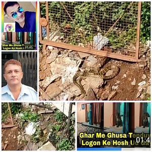 10K views · 19 reactions | Saanp nikal ne ka wakiya kya ho sakte hai. Mere point of view hai, Sahi bhi ho sakta or galat bhi... | Being Hindustani | Facebook