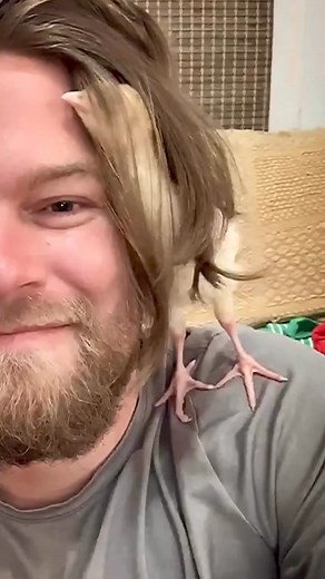 How cute is this sleepy chick 🐤🐥 posted by @barnsanctuary? This is how we feel when we don't get a good Sunday nap sesh in 😴 Let this chick be a reminder to catch some good Z's. Rest is important! 😁 - - - #farmsanctuary #friendsnotfood #animalrescue #touchinghearts #animallovers #bekindtoanimals #veganfortheanimals #compassion #cowsofinstagram #withusnotforus #bekindtoallkinds #kindness #chicks #chickens #chicken #chickensofinstagram #hens #cutechicks #cutechickens | No Meat May