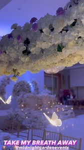 Meridian Grand on Reels